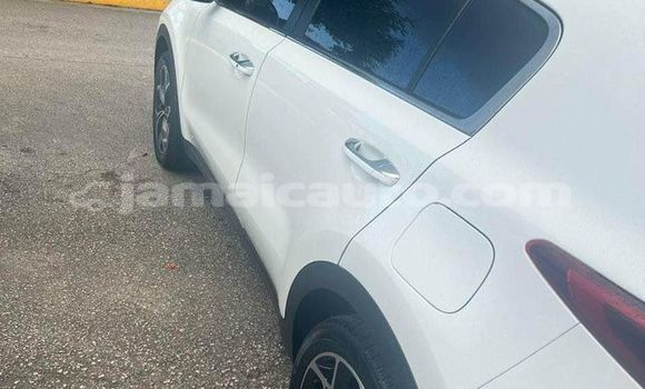 Buy Used Kia Sportage White Car in Falmouth in Trelawney Buy Used Kia Sportage White Car in Falmouth in Trelawney
