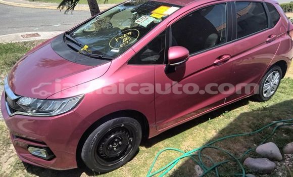 Buy Used Honda FIT Other Car in Falmouth in Trelawney Buy Used Honda FIT Other Car in Falmouth in Trelawney