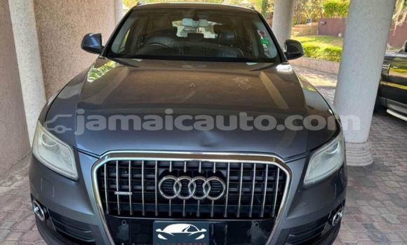 Buy Used Audi Q5 Other Car in May Pen in Clarendon