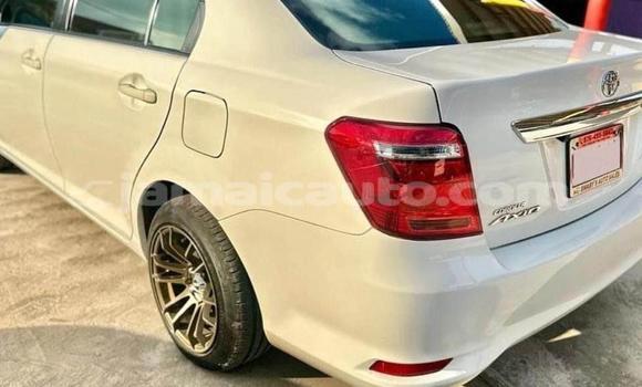 Buy Used Toyota Axio Other Car in Lucea in Hanover Buy Used Toyota Axio Other Car in Lucea in Hanover