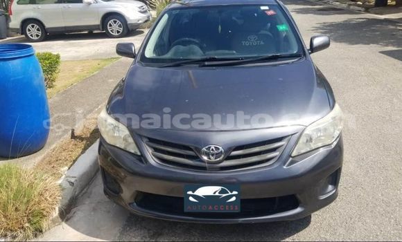 Buy Used Toyota Corolla Black Car in Mandeville in Manchester Buy Used Toyota Corolla Black Car in Mandeville in Manchester