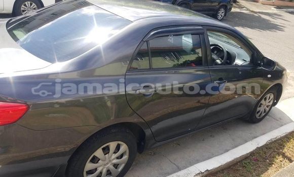 Buy Used Toyota Corolla Black Car in Mandeville in Manchester Buy Used Toyota Corolla Black Car in Mandeville in Manchester