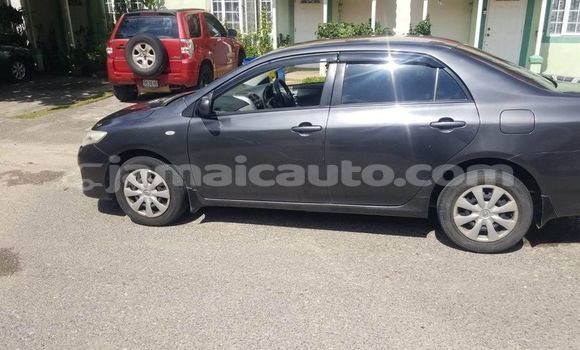 Buy Used Toyota Corolla Black Car in Mandeville in Manchester Buy Used Toyota Corolla Black Car in Mandeville in Manchester