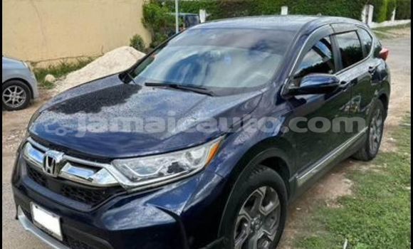 Buy Used Honda CR–V Other Car in Kingston in Kingston Buy Used Honda CR–V Other Car in Kingston in Kingston