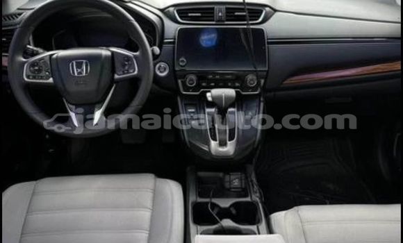 Buy Used Honda CR–V Other Car in Kingston in Kingston Buy Used Honda CR–V Other Car in Kingston in Kingston