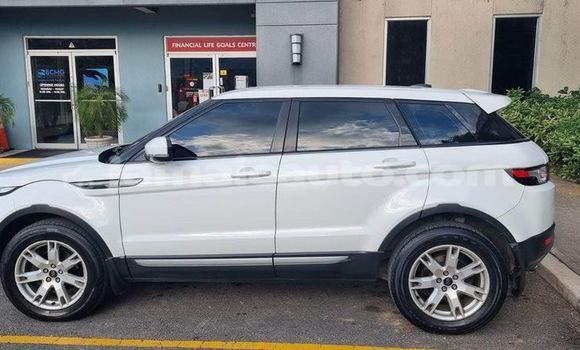 Acheter Occasion Voiture Range Rover Evoque Blanc à Lucea, Hanover Acheter Occasion Voiture Range Rover Evoque Blanc à Lucea, Hanover