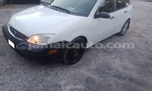 Buy Used Ford Focus White Car in Import - Dubai in Clarendon