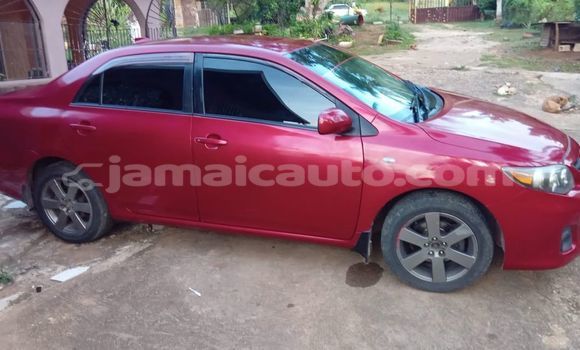 Buy Used Toyota Corolla Red Car in Falmouth in Trelawney Buy Used Toyota Corolla Red Car in Falmouth in Trelawney