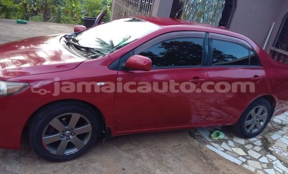 Buy Used Toyota Corolla Red Car in Falmouth in Trelawney Buy Used Toyota Corolla Red Car in Falmouth in Trelawney