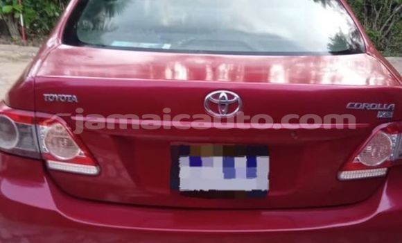 Buy Used Toyota Corolla Red Car in Falmouth in Trelawney Buy Used Toyota Corolla Red Car in Falmouth in Trelawney