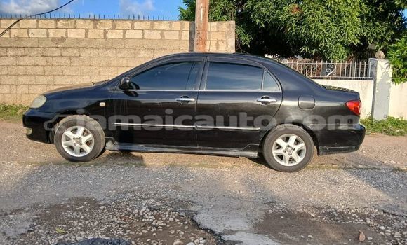 Buy Used Toyota Altis Black Car in Falmouth in Trelawney Buy Used Toyota Altis Black Car in Falmouth in Trelawney