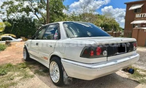 Buy Used Toyota Corolla Other Car in Kingston in Kingston Buy Used Toyota Corolla Other Car in Kingston in Kingston