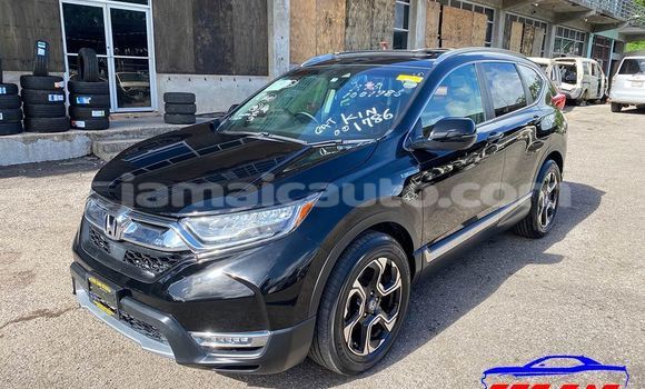 Buy Used Honda CR–V Black Car in Import - Dubai in Clarendon Buy Used Honda CR–V Black Car in Import - Dubai in Clarendon