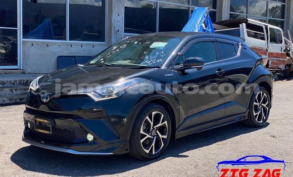 Acheter Occasion Voiture Toyota C-HR Noir à Kingston, Kingston