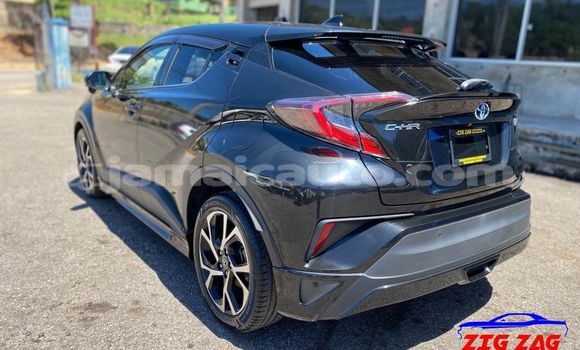 Buy Used Toyota C-HR Black Car in Kingston in Kingston Buy Used Toyota C-HR Black Car in Kingston in Kingston