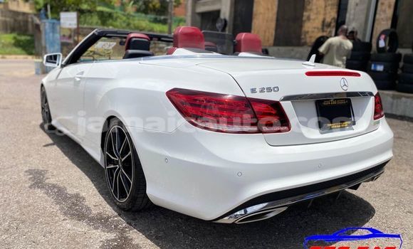 Buy Used Mercedes-Benz E–Class White Car in Kingston in Kingston Buy Used Mercedes-Benz E–Class White Car in Kingston in Kingston