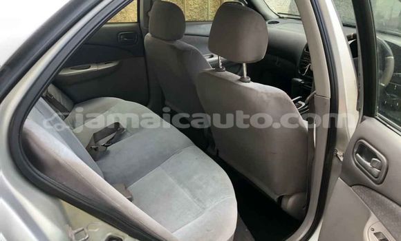 Acheter Occasion Voiture Nissan Sunny Autre à Kingston, Kingston Acheter Occasion Voiture Nissan Sunny Autre à Kingston, Kingston