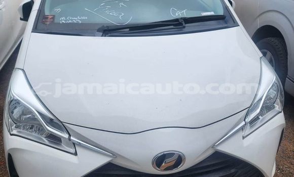 Buy Used Toyota Vitz White Car in Mandeville in Manchester Buy Used Toyota Vitz White Car in Mandeville in Manchester