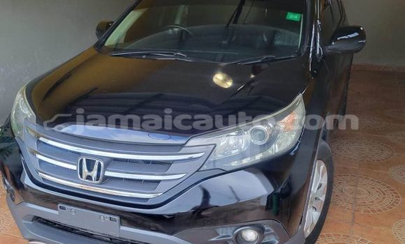 Buy Used Honda CR–V Black Car in Kingston in Kingston Buy Used Honda CR–V Black Car in Kingston in Kingston