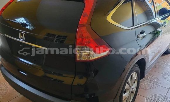 Buy Used Honda CR–V Black Car in Kingston in Kingston Buy Used Honda CR–V Black Car in Kingston in Kingston