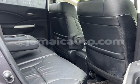 Buy Used Honda CR–V Other Car in Mandeville in Manchester Buy Used Honda CR–V Other Car in Mandeville in Manchester