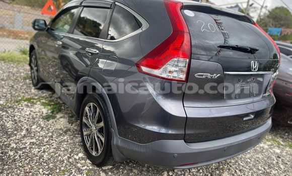 Buy Used Honda CR–V Other Car in Mandeville in Manchester Buy Used Honda CR–V Other Car in Mandeville in Manchester