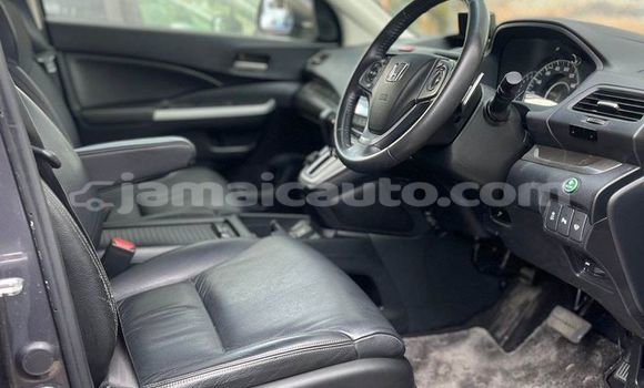 Buy Used Honda CR–V Other Car in Mandeville in Manchester Buy Used Honda CR–V Other Car in Mandeville in Manchester