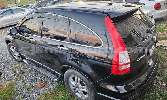 Buy Used Honda CR–V Black Car in Kingston in Kingston Buy Used Honda CR–V Black Car in Kingston in Kingston