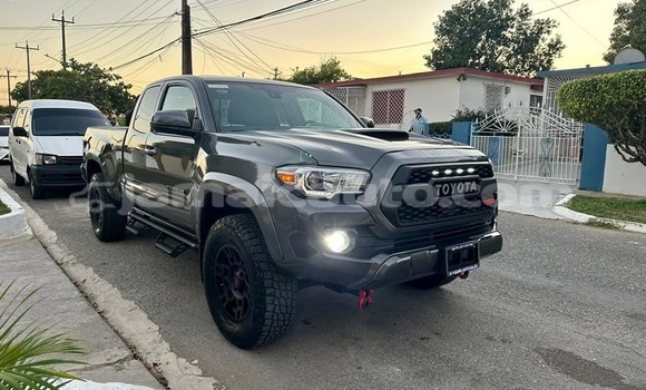 Buy Used Toyota Tacoma Other Car in Mandeville in Manchester Buy Used Toyota Tacoma Other Car in Mandeville in Manchester