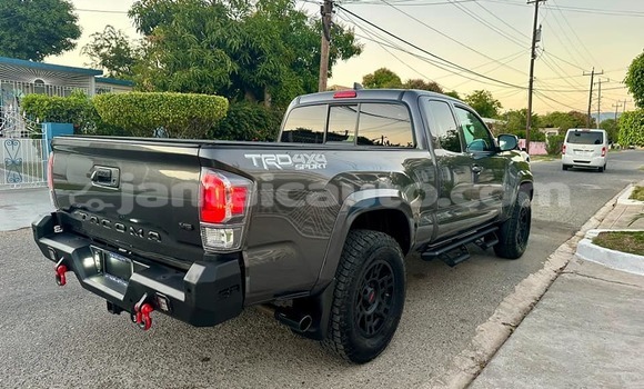 Buy Used Toyota Tacoma Other Car in Mandeville in Manchester Buy Used Toyota Tacoma Other Car in Mandeville in Manchester