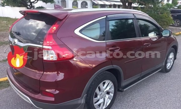 Buy Used Honda CR–V Other Car in Lucea in Hanover Buy Used Honda CR–V Other Car in Lucea in Hanover