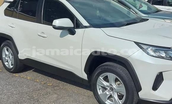 Buy Used Toyota RAV4 White Car in Lucea in Hanover Buy Used Toyota RAV4 White Car in Lucea in Hanover