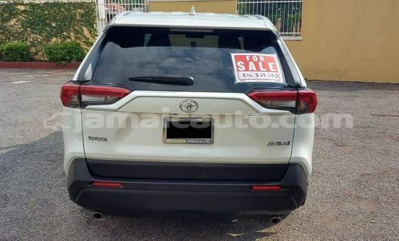 Buy Used Toyota RAV4 White Car in Lucea in Hanover Buy Used Toyota RAV4 White Car in Lucea in Hanover