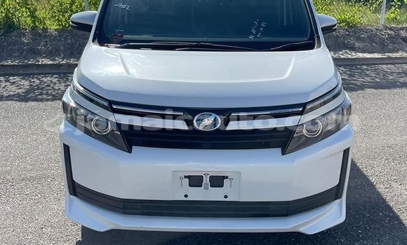 Buy Used Toyota Voxy White Car in Port Antonio in Portland