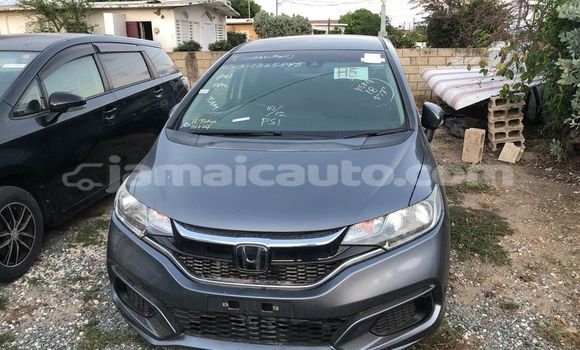Buy Used Honda FIT Other Car in Mandeville in Manchester