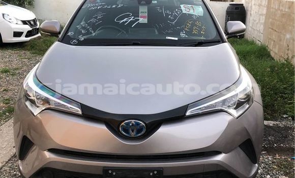 Buy Used Toyota C-HR Other Car in Mandeville in Manchester Buy Used Toyota C-HR Other Car in Mandeville in Manchester