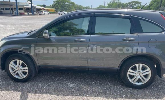 Buy Used Honda CR–V Other Car in Kingston in Kingston Buy Used Honda CR–V Other Car in Kingston in Kingston