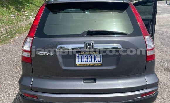 Acheter Occasion Voiture Honda CR–V Autre à Kingston, Kingston Acheter Occasion Voiture Honda CR–V Autre à Kingston, Kingston