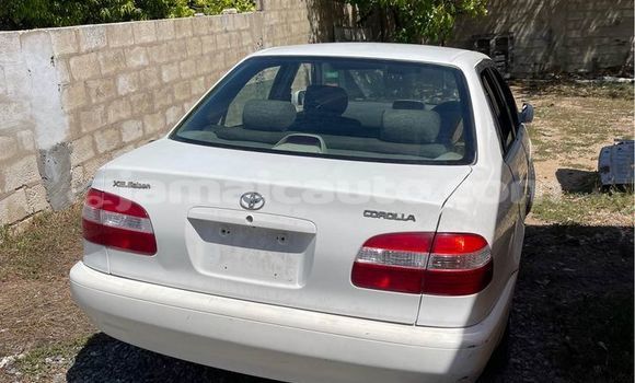 Buy Used Toyota Aqua White Car in Kingston in Kingston Buy Used Toyota Aqua White Car in Kingston in Kingston