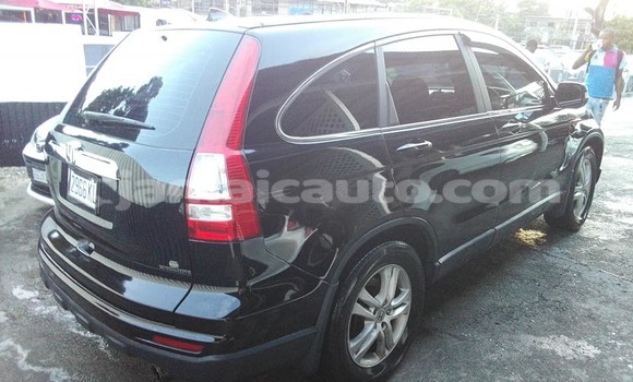 Buy Used Honda CR–V Black Car in May Pen in Clarendon Buy Used Honda CR–V Black Car in May Pen in Clarendon