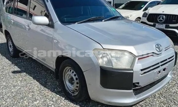 Buy Used Toyota Probox Other Car in Mandeville in Manchester Buy Used Toyota Probox Other Car in Mandeville in Manchester