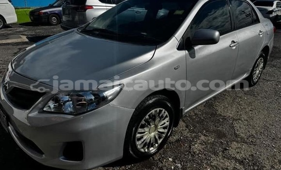 Buy Used Toyota Corolla Other Car in Mandeville in Manchester Buy Used Toyota Corolla Other Car in Mandeville in Manchester