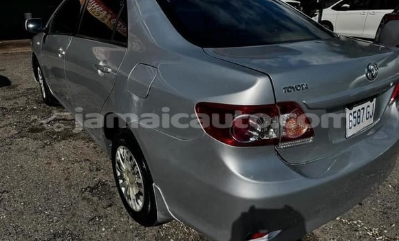 Buy Used Toyota Corolla Other Car in Mandeville in Manchester Buy Used Toyota Corolla Other Car in Mandeville in Manchester
