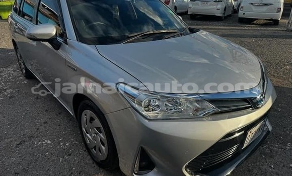 Buy Used Toyota Axio Other Car in Port Antonio in Portland Buy Used Toyota Axio Other Car in Port Antonio in Portland