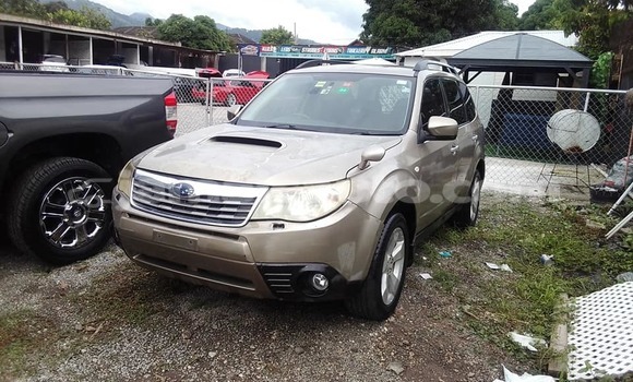 Buy Used Subaru Forester Other Car in Lucea in Hanover Buy Used Subaru Forester Other Car in Lucea in Hanover