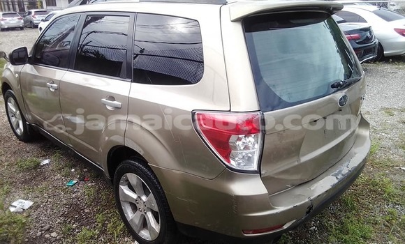 Buy Used Subaru Forester Other Car in Lucea in Hanover Buy Used Subaru Forester Other Car in Lucea in Hanover