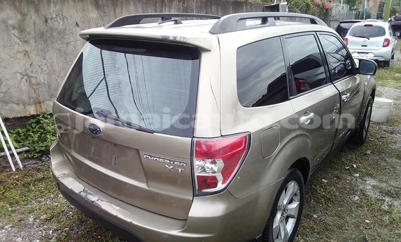 Buy Used Subaru Forester Other Car in Lucea in Hanover Buy Used Subaru Forester Other Car in Lucea in Hanover