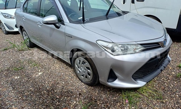 Buy Used Toyota Axio Other Car in May Pen in Clarendon Buy Used Toyota Axio Other Car in May Pen in Clarendon