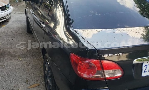 Buy Used Toyota Corolla Black Car in Import - Dubai in Clarendon Buy Used Toyota Corolla Black Car in Import - Dubai in Clarendon