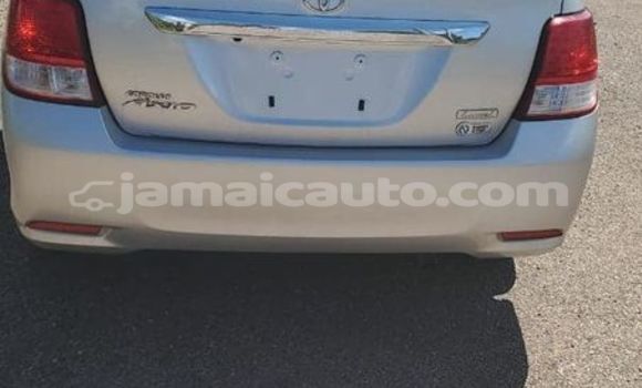 Buy Used Toyota Axio Other Car in Port Antonio in Portland Buy Used Toyota Axio Other Car in Port Antonio in Portland